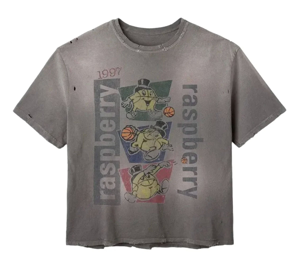 GV Gallery Raspberry Hills Macker T-Shirt Grey